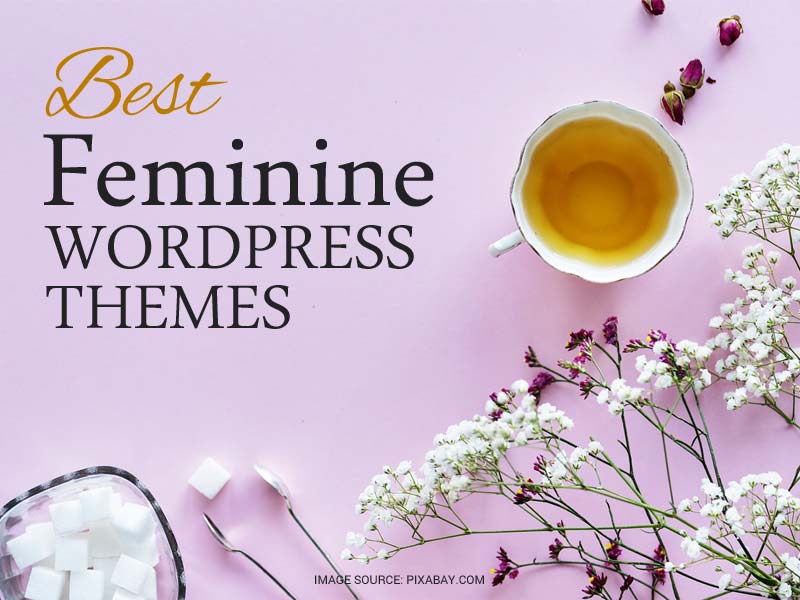 Best Feminine WordPress Themes