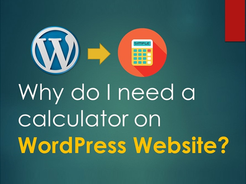Why do I need a calculator on WordPress Website