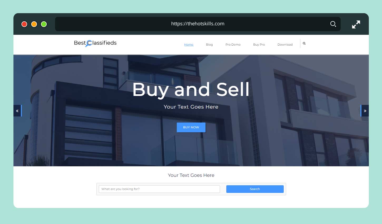 Free Classifieds Business WordPress Theme