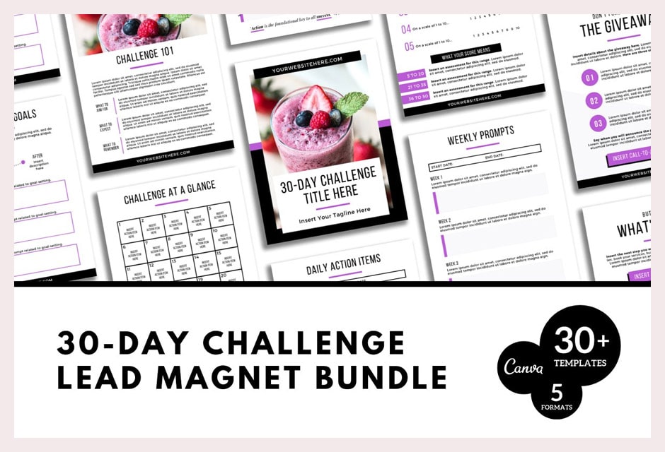30 Day Challenge Lead Magnet Bundle