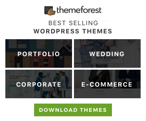 best selling wordpress themes