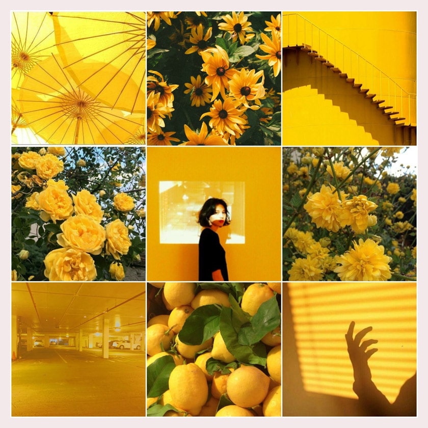 Aesthetic color moodboard fanart