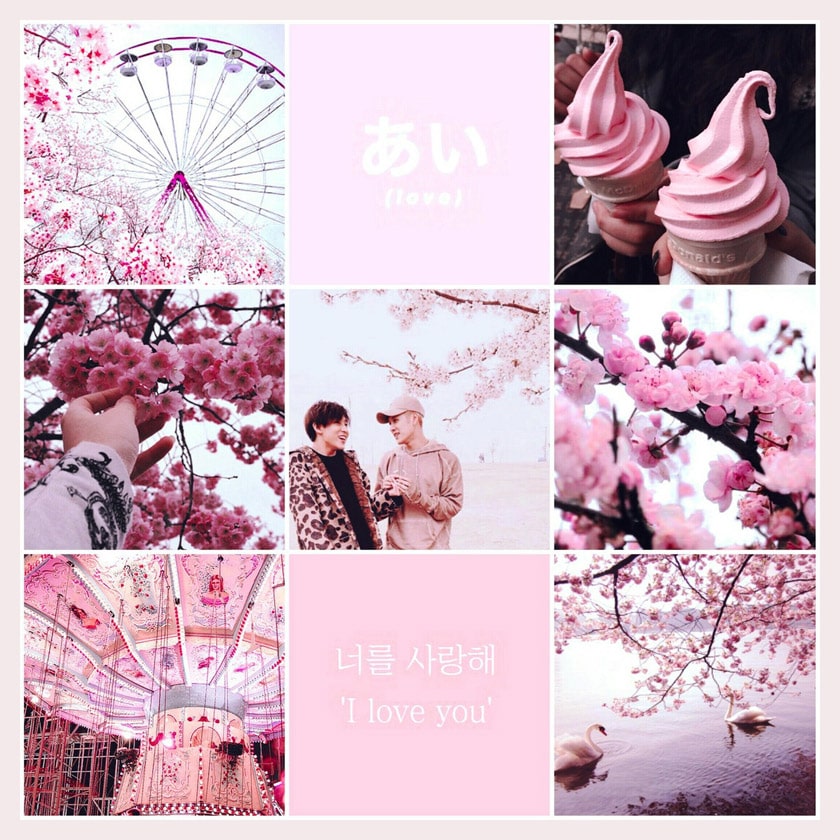 Jackbam Pink Aesthetic Moodboard