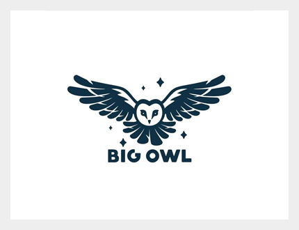 Big Owl Logo Design