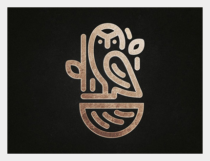 creative owl logo design