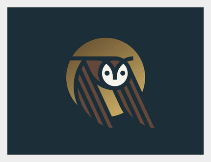 flying moon owl logo design