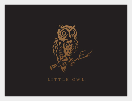 little owl logo design