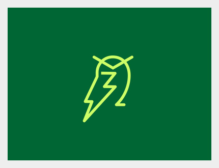 Wise Energy Owl Logo Design