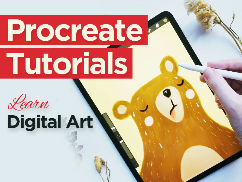 procreate tutorial beginner