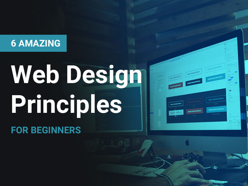 Web design principles