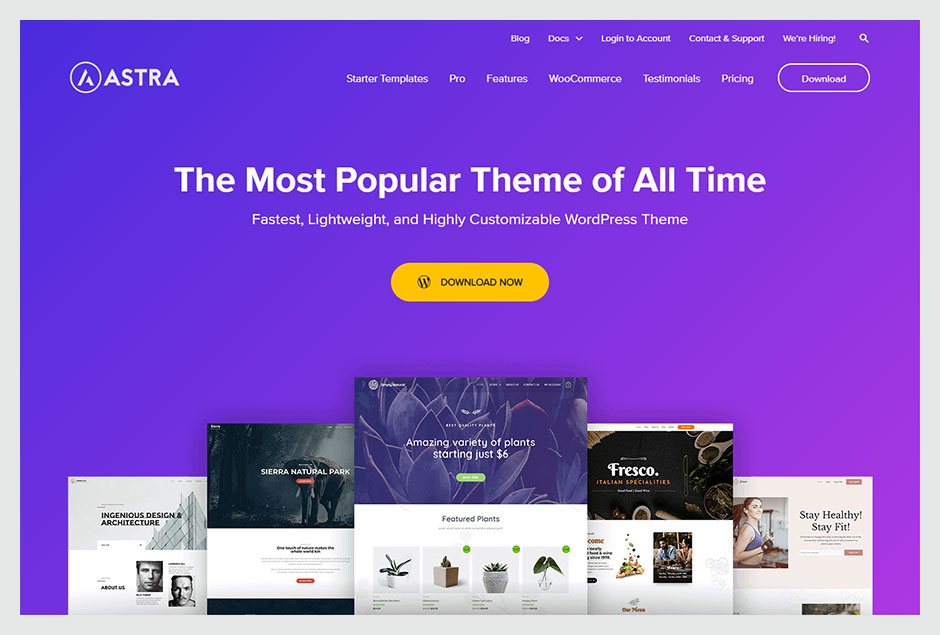 Astra - The Most Popular Theme