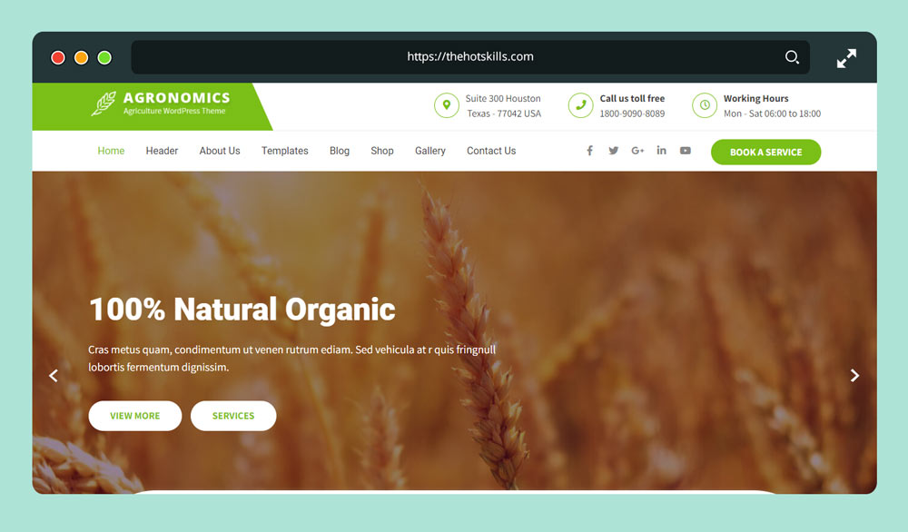 Agronomics Lite - Free Gardening WordPress Theme
