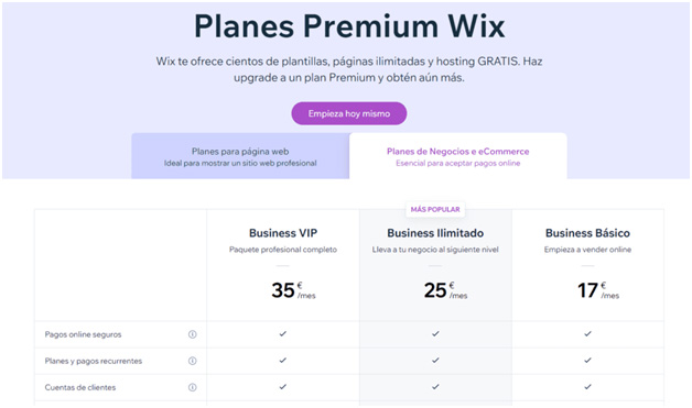 Wix Ecommerce Pricing