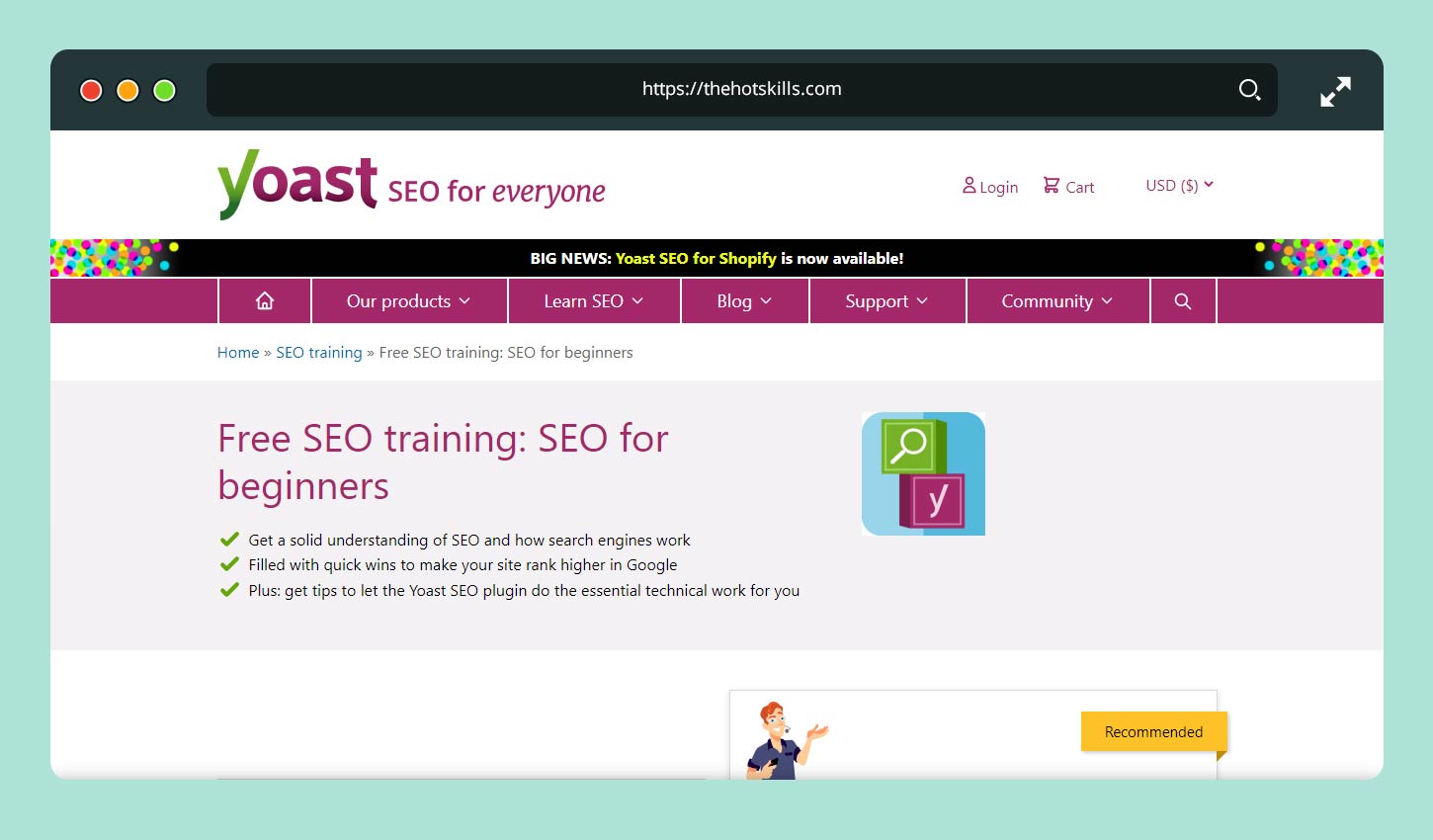 Free SEO training for beginners
