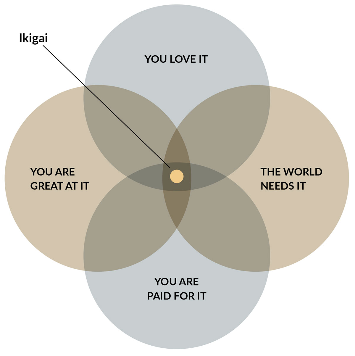 What is your Ikigai