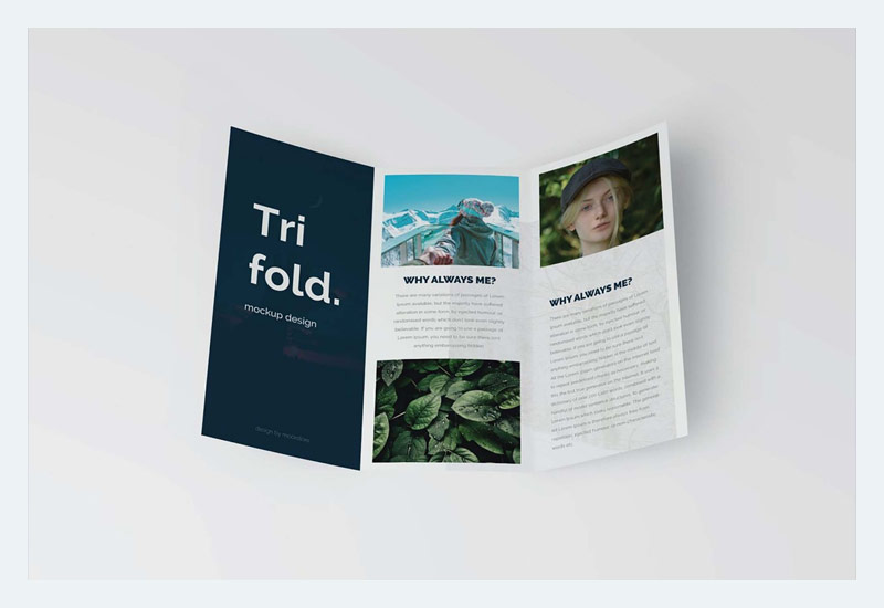 8 Trifold Brochure Mockups PSD