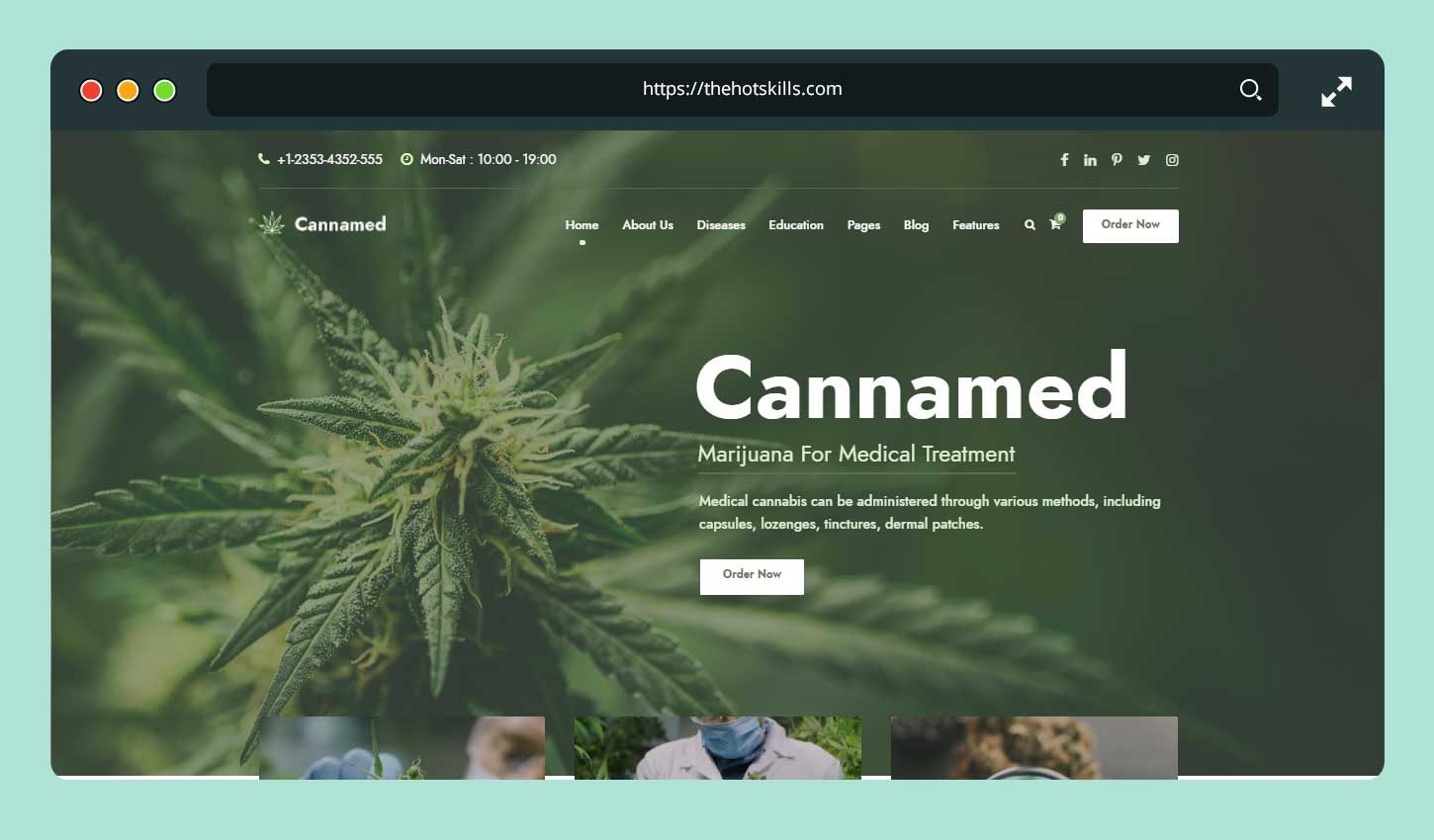 Cannamed - Cannabis & Marijuana WordPress Themes
