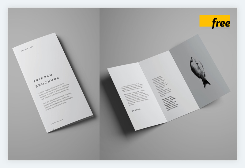 Free Advanced Trifold Brochure Mockup