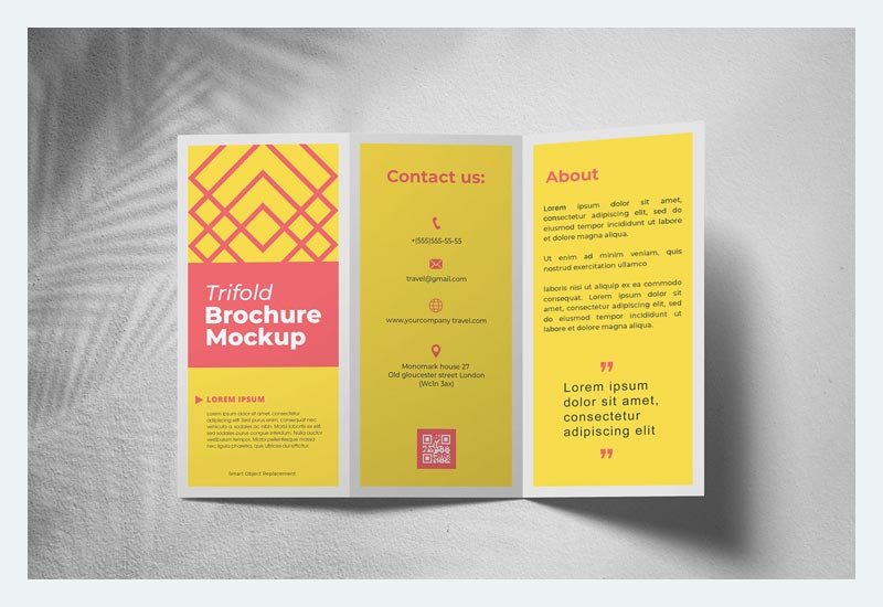 Free Trifold Brochure Mockup PSD