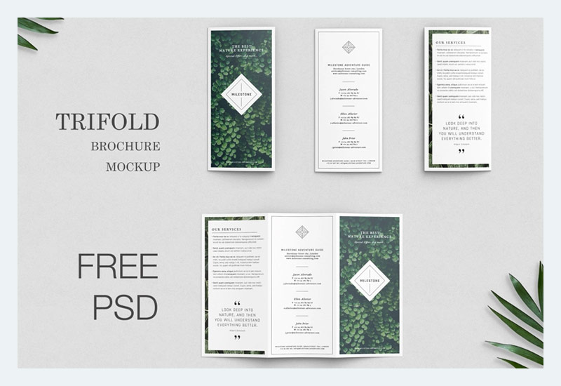 Free Trifold Brochure Mockup