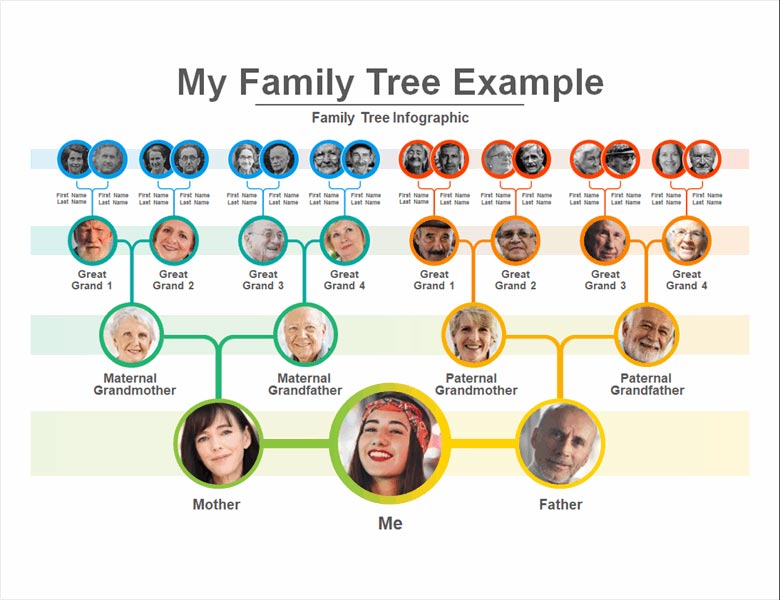 PowerPoint family tree infographic template