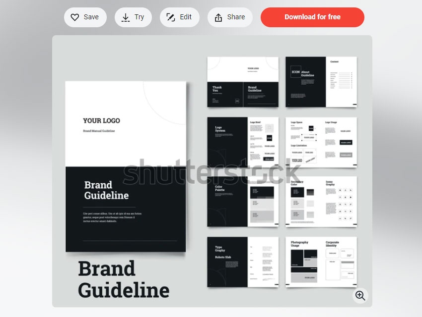 Brand Style Guide Book