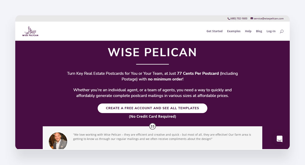 Wise Pelican