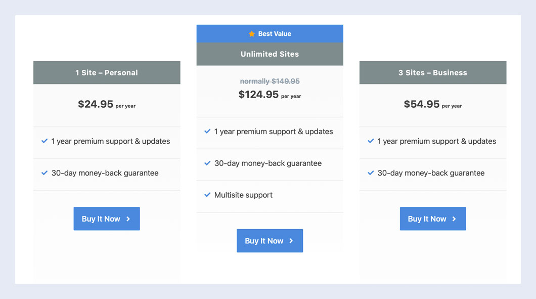 Perfmatters Pricing