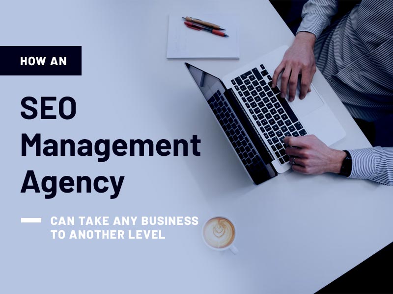 SEO Management Agency